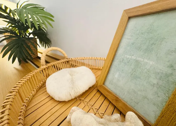 Seaesta Cosy Sea コペル